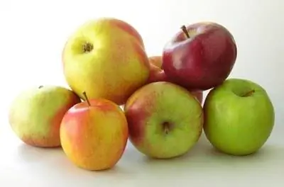 Сорта яблонь в Западной Вирджинии