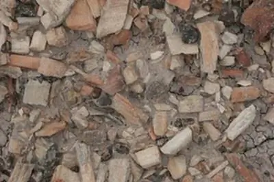 Как улучшить почву с помощью древесной щепы