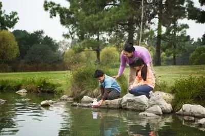 Идеи ландшафтного дизайна вокруг большого пруда