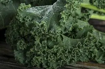 Органическая капуста