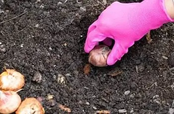 Изображение Изображение