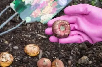 Изображение Изображение