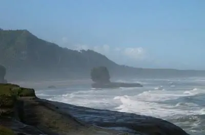 Какие фрукты & Овощи растут в Новой Зеландии?