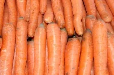 Как посадить морковь под пластиковую мульчу