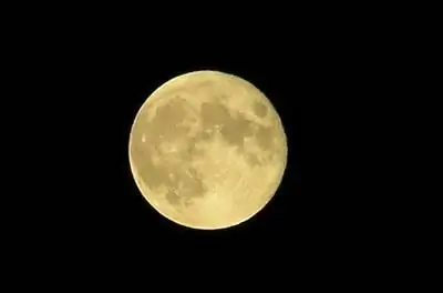 Виды лунных цветов