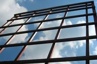 Информация о Серебряной кружевной лозе