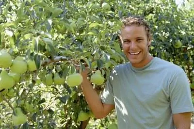 Как посадить декоративные груши