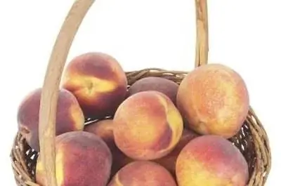 Какие существуют виды персиков?