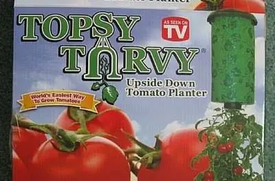 Как посадить томат «шиворот-навыворот»