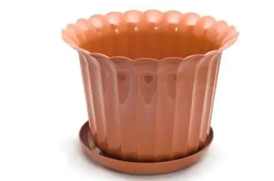 Как сажать кустовую фасоль Блю Лейк в контейнеры