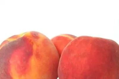 Фруктовые деревья в Южной Каролине