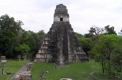 Типичные цветущие деревья Гватемалы