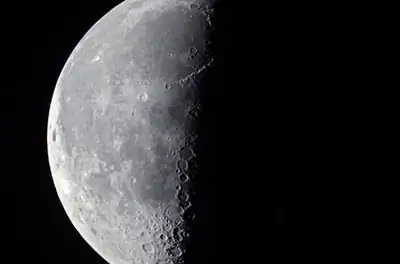 Лучшие дни месяца для посадки подземных овощей