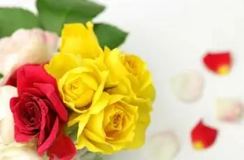 Изображение Изображение