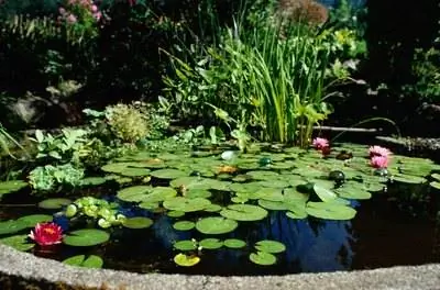 Как построить причал для пруда