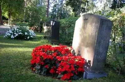 Цветы, которые можно посадить на могиле