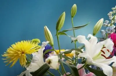 Как заставить бутоны раскрыться на свежих цветах