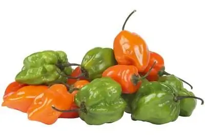 Scotch Bonnet Pepper Vs. Хабанеро
