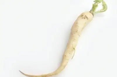 Совместная посадка репы