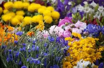 Цветочные букеты из свежих летних цветов, рынок Пайк-Плейс