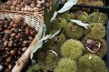 Каштаны на прилавке рынка, крупный план