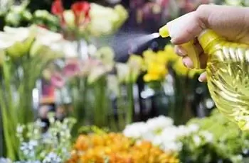 Женщина запотевает цветы