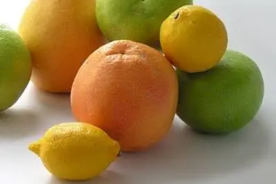 Как удобрять цитрусовые деревья во Флориде