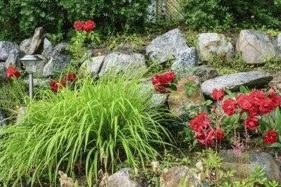 Превращение клумбы в сад камней