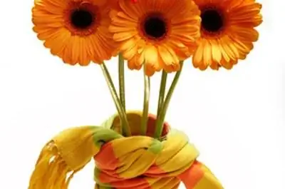 Лучшие комнатные растения по содержанию кислорода