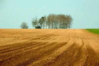 Типы почв в США