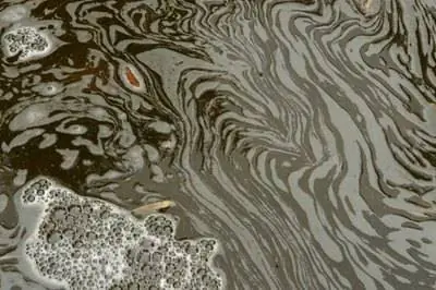 Как использовать Tide на газоне, чтобы вырастить траву