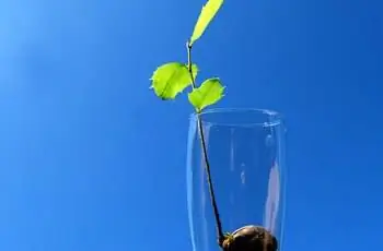 Изображение Изображение