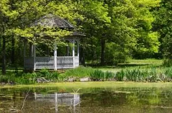 Трава вокруг беседки и вода в парке