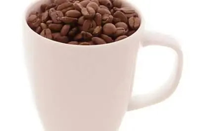 Как ухаживать за кофейными растениями