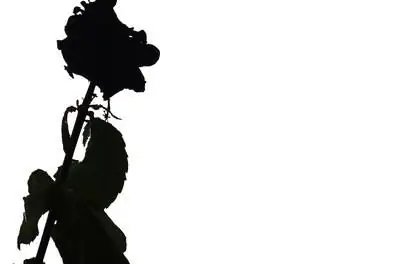 Как покрасить розы в черный цвет