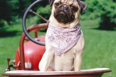 Список деталей для газонного трактора Craftsman, модель 917.273180