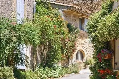 Растения для сада в испанском стиле