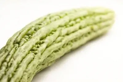 Как вырастить горькую дыню из семян