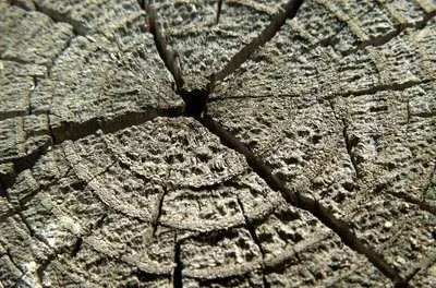 Как удалить пни кислотой