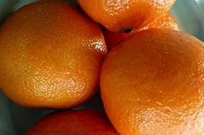 Уход за апельсиновым деревом в Аризоне