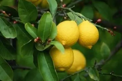 Зоны посадки во Флориде