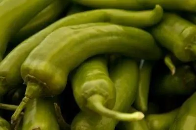 Листья опадают с растений перца