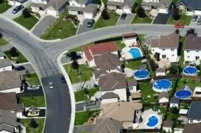 Скорость роста конского каштана