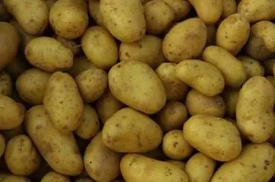 Можно ли положить старый картофель в компостную кучу?