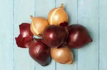 Стопка свежего, домашнего, органического лука