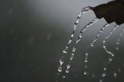 Противозаконно ли иметь бочки с дождевой водой в штате Вашингтон?