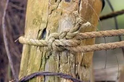 Как построить деревянный столб для порки