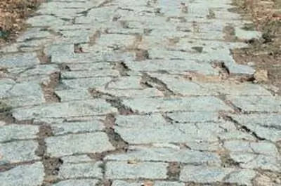 Патио из плитняка вокруг деревьев