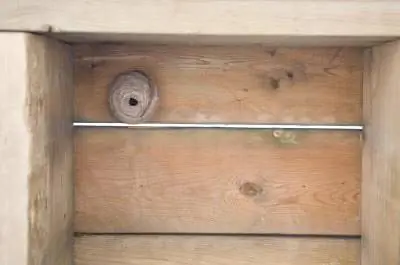 Как избавиться от ос за дверью