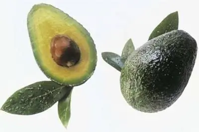 Сорта самоопыляющегося авокадо